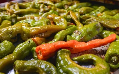 Stuffed long hot peppers at Johnny Longhots Sarasota